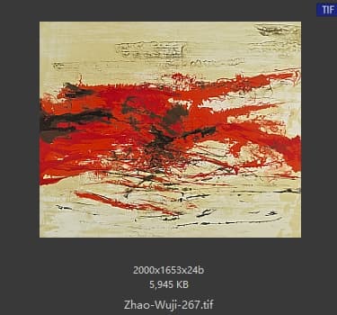 赵无极 #267