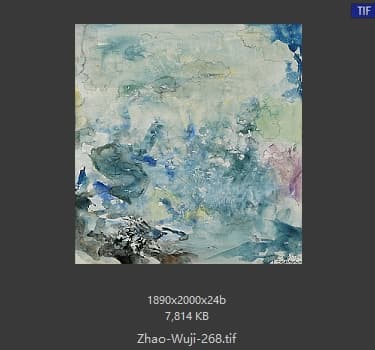 赵无极 #268