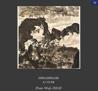 赵无极 #269