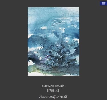 赵无极 #270