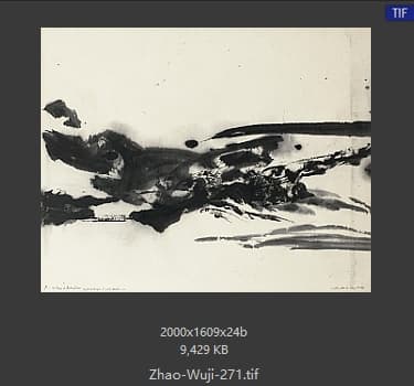 赵无极 #271