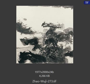 赵无极 #273