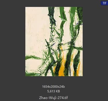 赵无极 #274