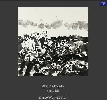 赵无极 #277