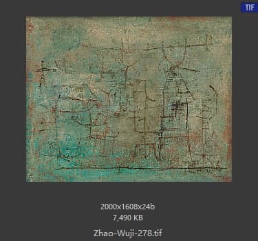 赵无极 #278
