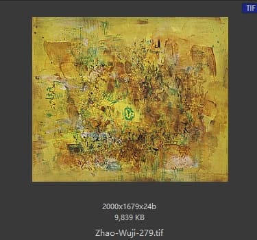 赵无极 #279