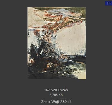 赵无极 #280