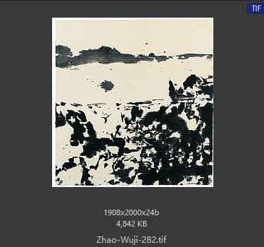 赵无极 #282
