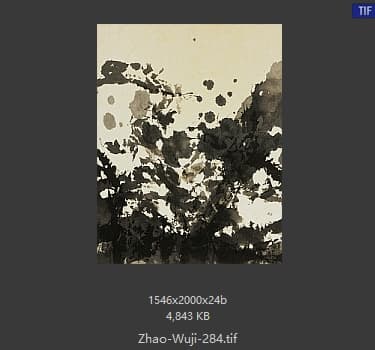 赵无极 #284