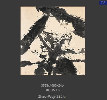 赵无极 #285