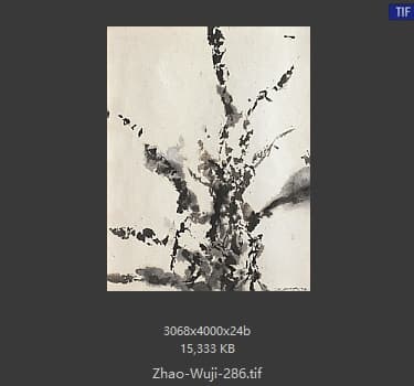 赵无极 #286