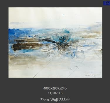 赵无极 #288
