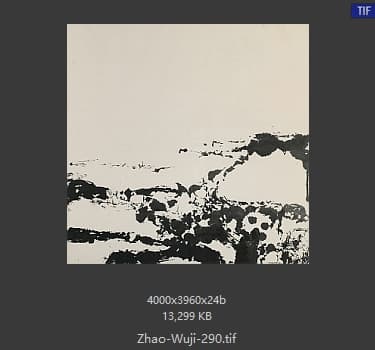 赵无极 #290