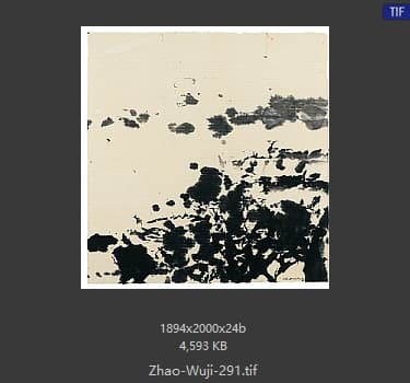 赵无极 #291
