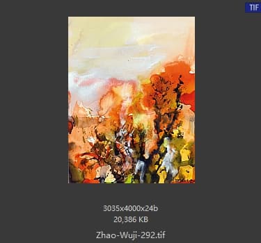 赵无极 #292