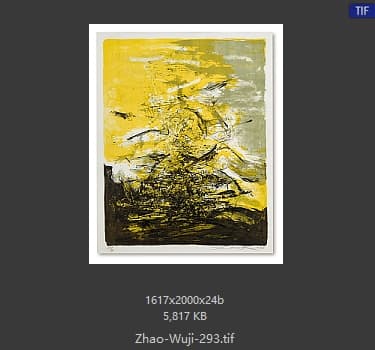 赵无极 #293