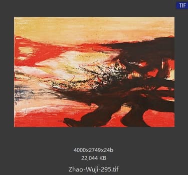 赵无极 #295