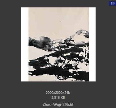 赵无极 #296
