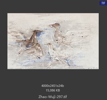 赵无极 #297