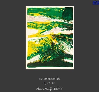 赵无极 #302
