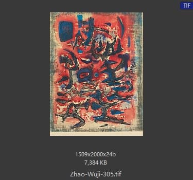 赵无极 #305