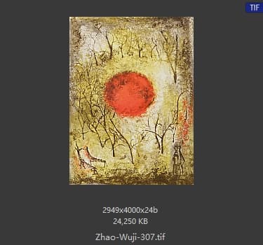 赵无极 #307