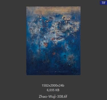 赵无极 #308