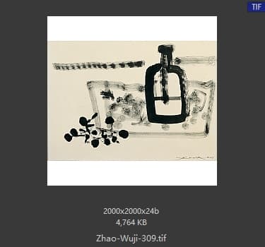 赵无极 #309