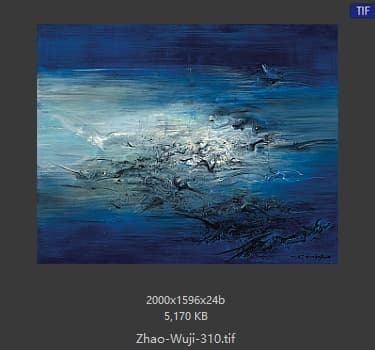 赵无极 #310