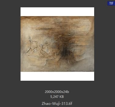 赵无极 #313