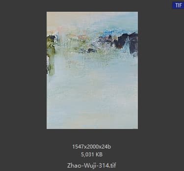 赵无极 #314