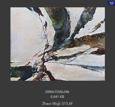 赵无极 #315