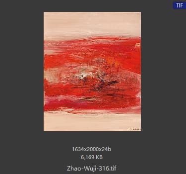 赵无极 #316