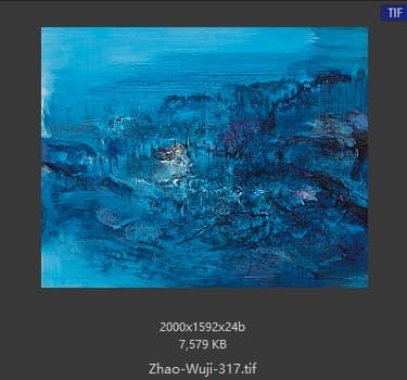 赵无极 #317