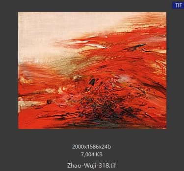 赵无极 #318