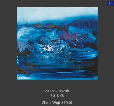 赵无极 #319
