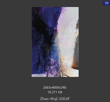 赵无极 #320