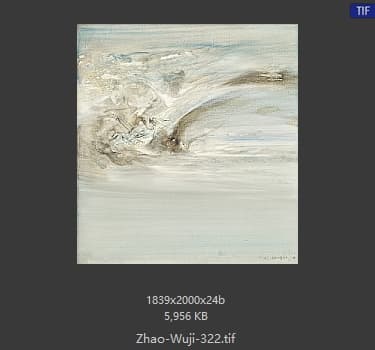 赵无极 #322