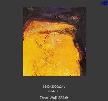 赵无极 #323