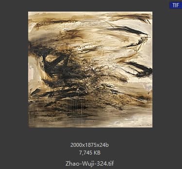赵无极 #324