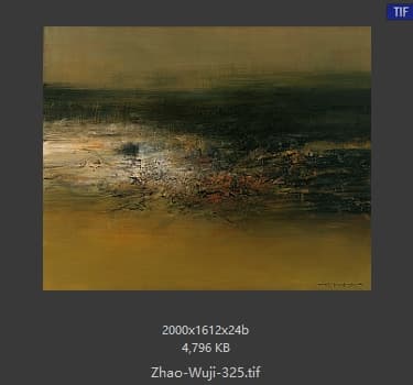 赵无极 #325