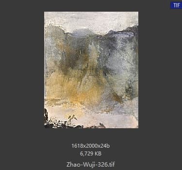 赵无极 #326