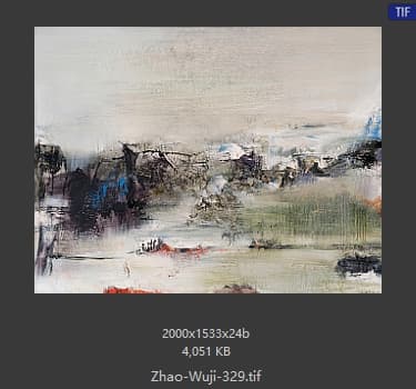 赵无极 #329