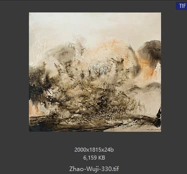 赵无极 #330