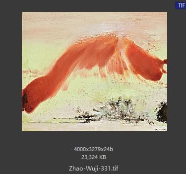 赵无极 #331