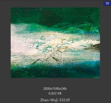 赵无极 #332