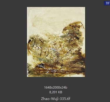赵无极 #335