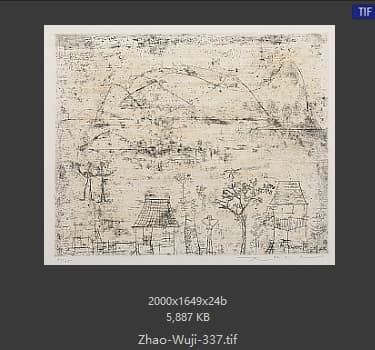 赵无极 #337