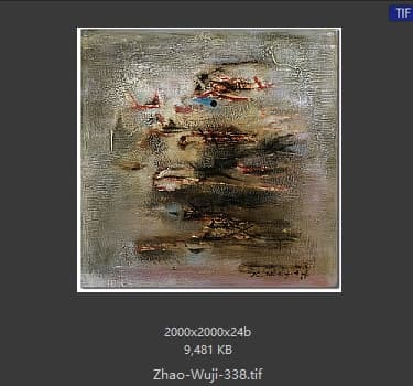 赵无极 #338