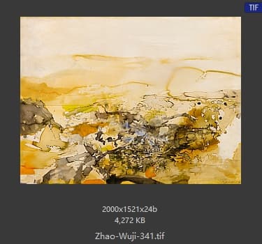 赵无极 #341